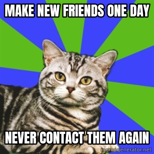 Introvert Cat meme: make new friends one day / never contact them again