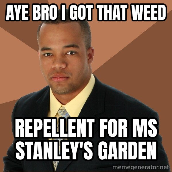 Successful Black Man meme: aye bro i got that weed / repellent for ms stanley's garden