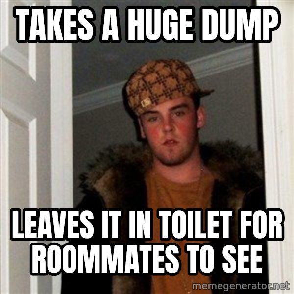 Scumbag Steve meme: Takes a huge dump / Leaves it in toilet for roommates to see