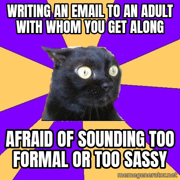 Anxiety Cat meme: writing an email to an adult with whom you get along / afraid of sounding too formal or too sassy