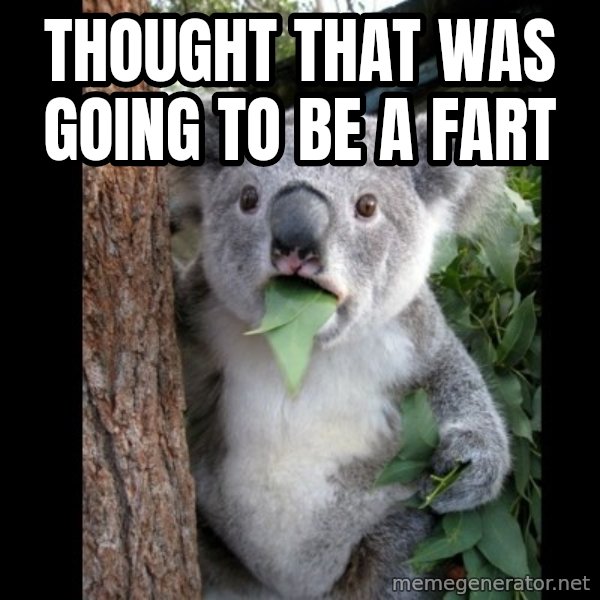 Koala can't believe it meme: thought that was going to be a fart