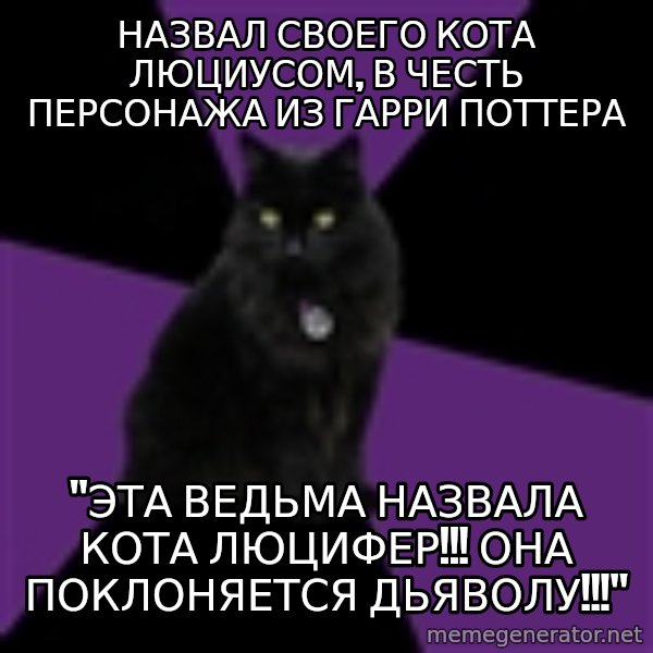 Wiccan Cat meme: назвал своего кота люциусом, в честь персонажа из гарри поттера / "эта ведьма назвала кота люцифер!!! она поклоняется дьяволу!!!"