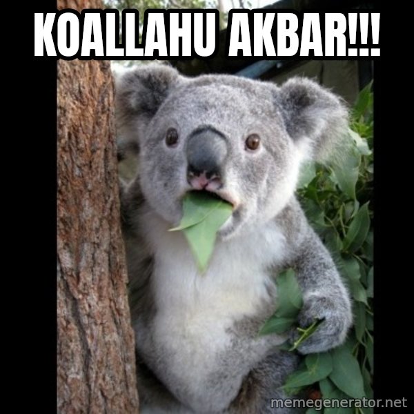 Koala can't believe it meme: Koallahu akbar!!!