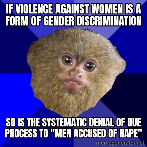 Mra Marmoset meme: if violence against women is a form of gender discrimination / so is the systematic denial of due process to "men accused of rape"