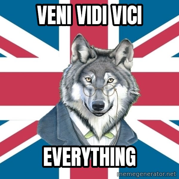 Sir Courage Wolf Esquire meme: veni vidi vici / everything