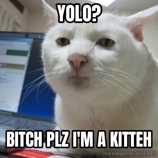 Serious Cat meme: YOLO? / Bitch PLZ I'm a Kitteh