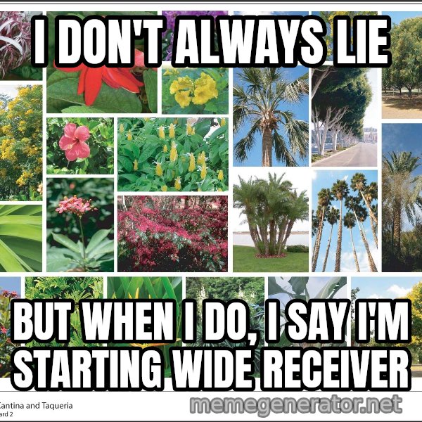imageboard meme: I don't always lie / But when I do, I say I'm starting wide receiver