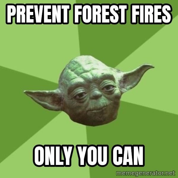 Advice Yoda Gives meme: prevent forest fires / only you can