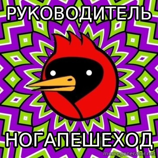 Omsk Crow meme: РУКОВОДИТЕЛЬ / НОГАПЕШЕХОД
