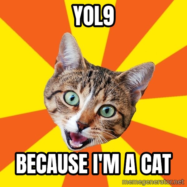 Bad Advice Cat meme: yol9 / because i'm a cat