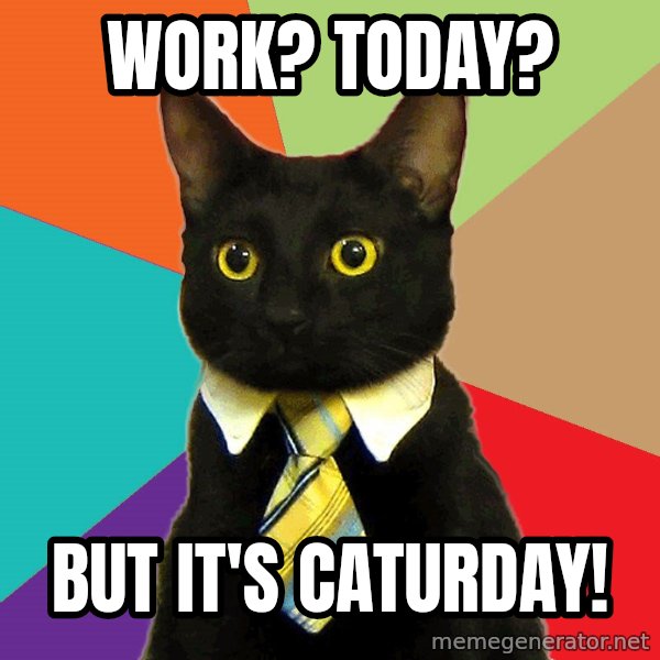 Business Cat meme: Work? today? / but it's caturday!