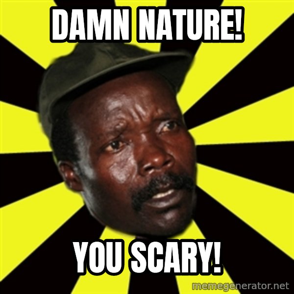 KONY THE PIMP meme: damn nature! / you scary!