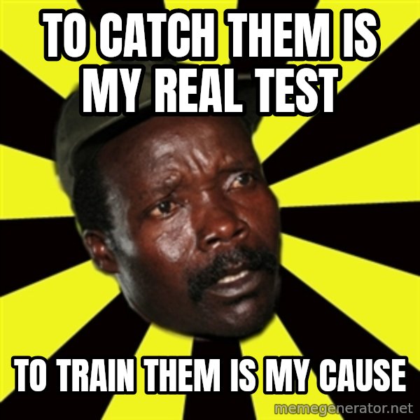 KONY THE PIMP meme: To catch them is my real test / to train them is my cause