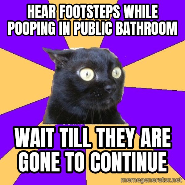 Anxiety Cat meme: hear footsteps while pooping in public bathroom / wait till they are gone to continue