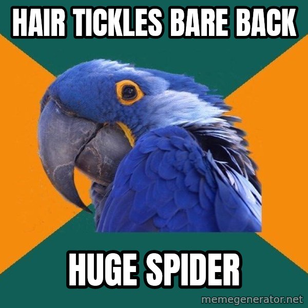 Paranoid Parrot meme: Hair tickles bare back / huge spider