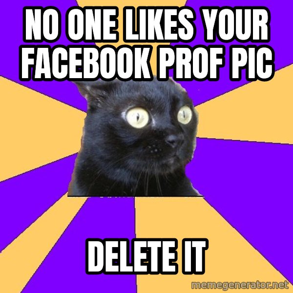 Anxiety Cat meme: no one likes your facebook prof pic / delete it