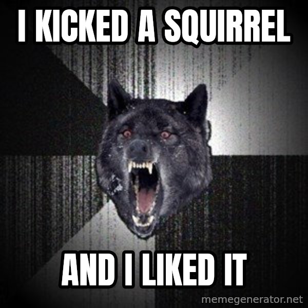 Insanity Wolf meme: i kicked a squirrel / and i liked it