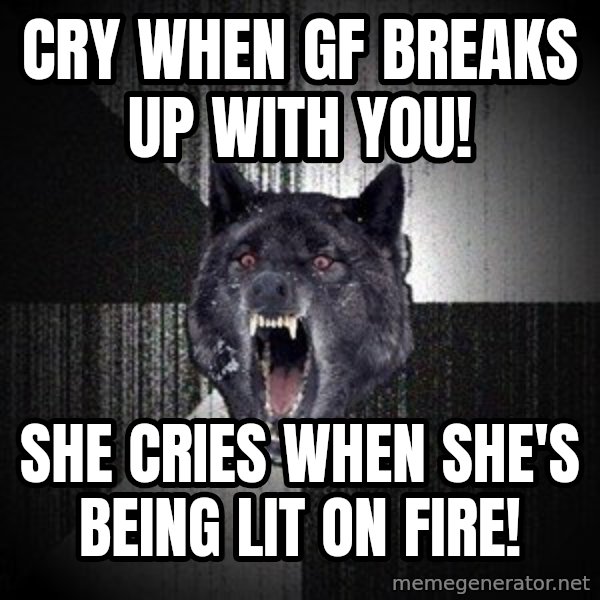 Insanity Wolf meme: CRY WHEN GF BREAKS UP WITH YOU! / SHE CRIES WHEN SHE'S BEING LIT ON FIRE!