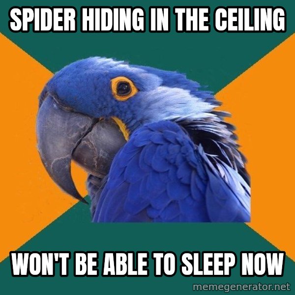 Paranoid Parrot meme: spider hiding in the ceiling / won't be able to sleep now