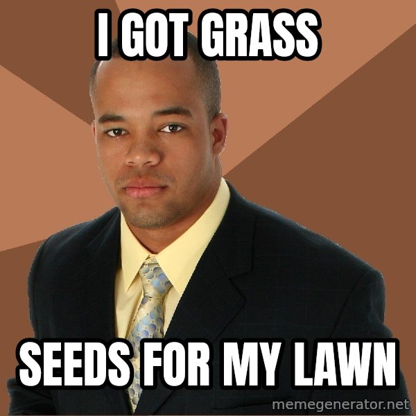 Successful Black Man meme: I GOT GRASS / SEEDS FOR MY LAWN