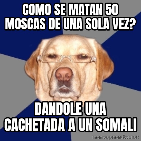 Racist Dog meme: como se matan 50 moscas de una sola vez? / dandole una cachetada a un somali