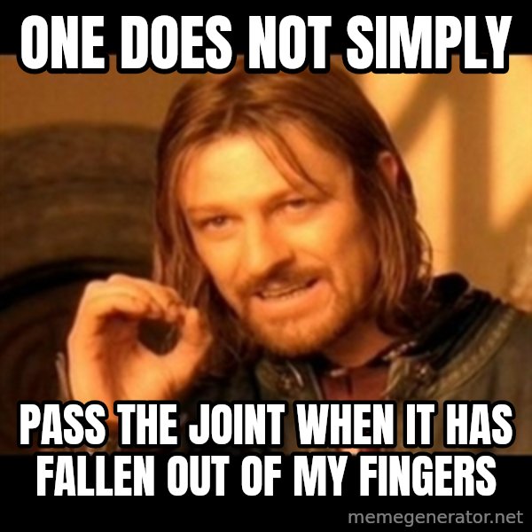 Does not simply walk into mordor Boromir  meme: ONE DOES NOT SIMPLY / PASS THE JOINT WHEN IT HAS FALLEN OUT OF MY FINGERS