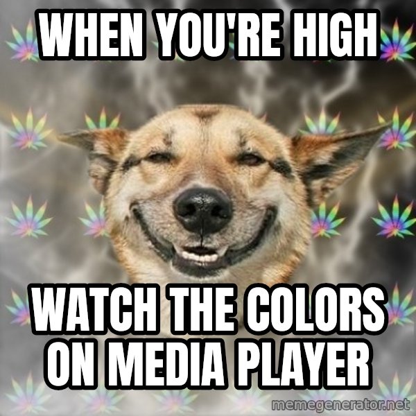 Stoner Dog meme: when you're high / watch the colors on media player