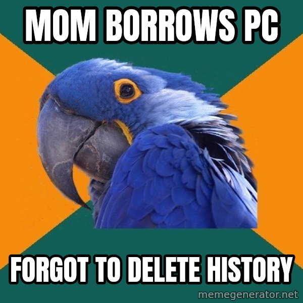 Paranoid Parrot meme: mom borrows pc / forgot to delete history