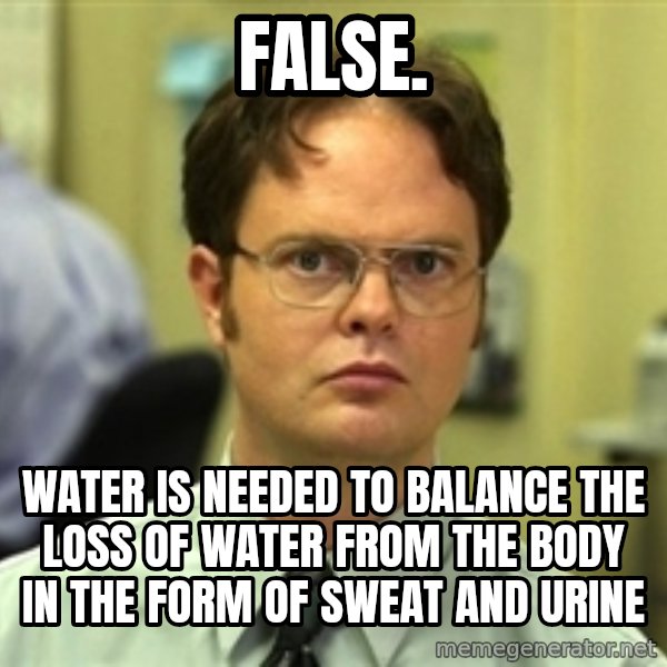 Dwight Schrute meme: FALSE. / wATER IS NEEDED TO BALANCE THE LOSS OF WATER FROM THE BODY IN THE FORM OF SWEAT AND URINE
