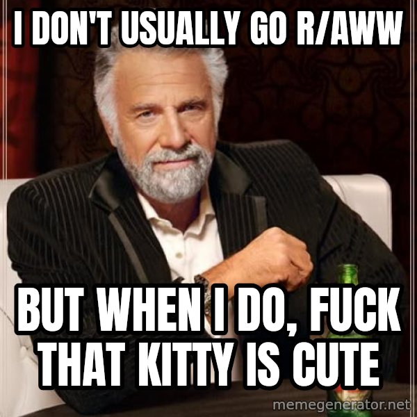 The Most Interesting Man In The World meme: I don't usually go r/aww / but when i do, fuck that kitty is cute