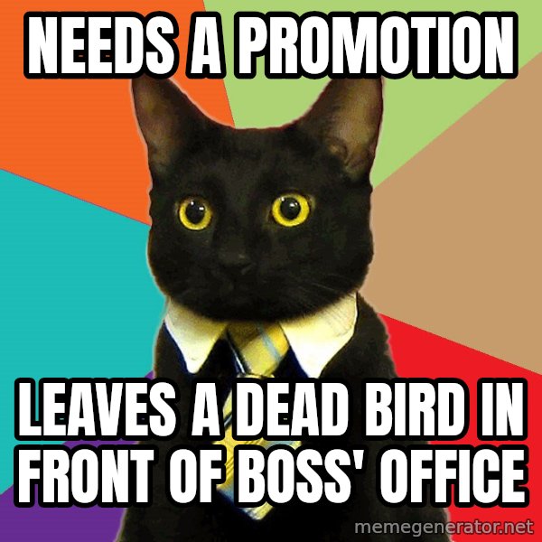 Business Cat meme: Needs a promotion / leaves a dead bird in front of boss' office