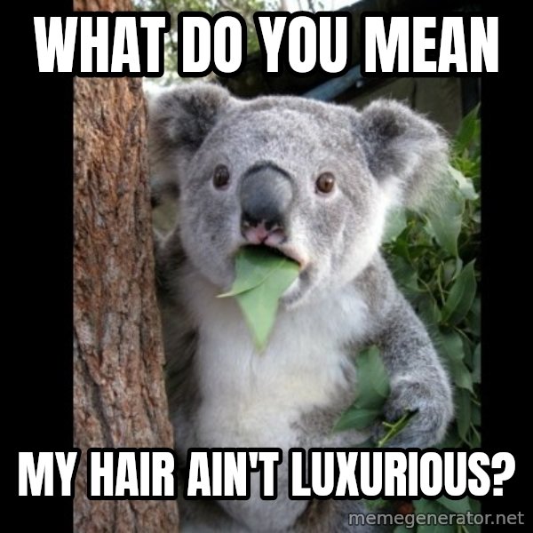 Koala can't believe it meme: what do you mean / my hair ain't luxurious?