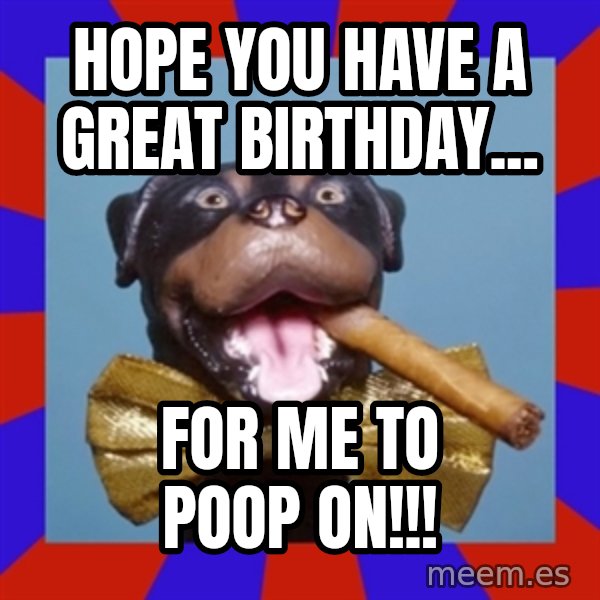 Triumph the Insult Comic Dog meme: Hope you have a great birthday... / for me to poop on!!!
