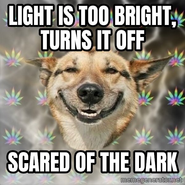 Stoner Dog meme: light is too bright, turns it off / scared of the dark