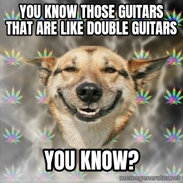Stoner Dog meme: you know those guitars that are like double guitars / you know?