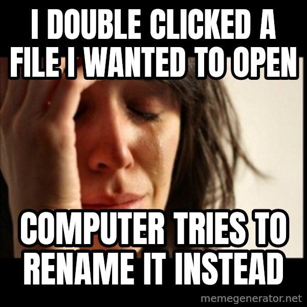 First World Problems meme: I double clicked a file i wanted to open / computer tries to rename it instead