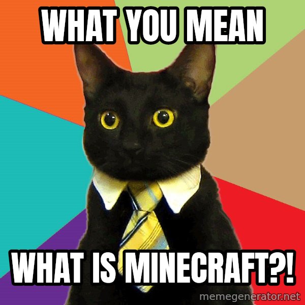 Business Cat meme: what you mean / what is minecraft?!