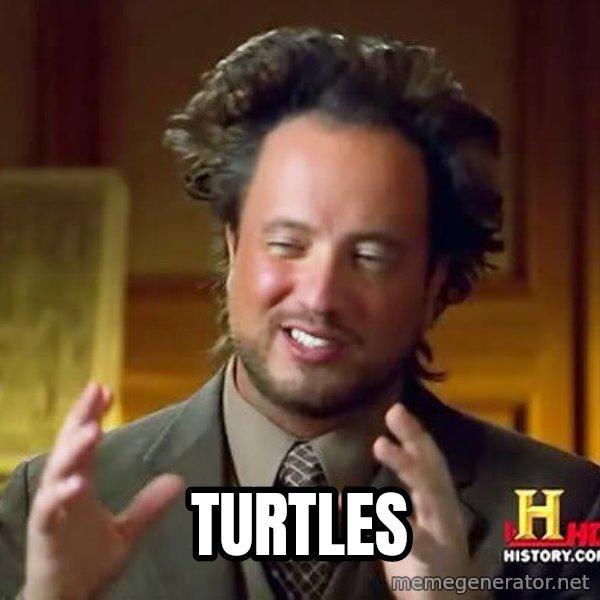 Ancient Aliens meme: turtles