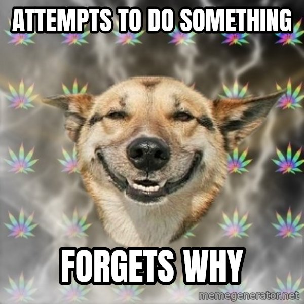 Stoner Dog meme: Attempts to do something / FORGETS WHY