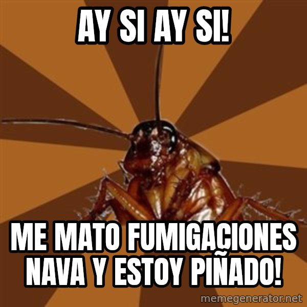 Eat The Cockroach meme: AY SI AY SI! / ME MATO FUMIGACIONES NAVA Y ESTOY PIÑADO!