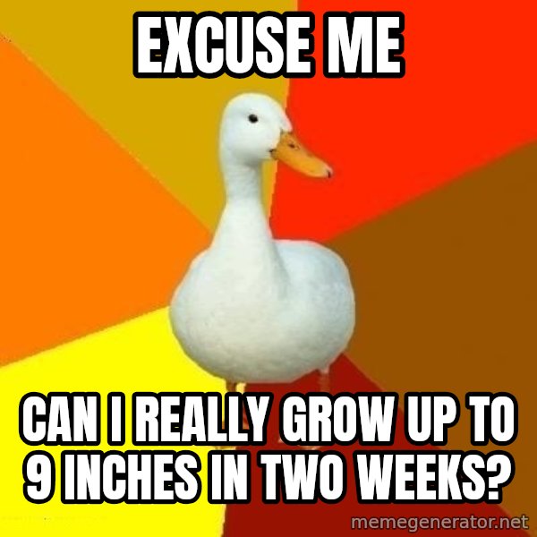 Technologically Impaired Duck meme: Excuse me / Can I really grow up to 9 inches in two weeks?