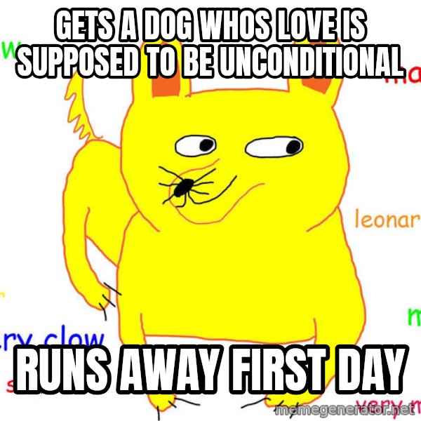 Forever Alone meme: Gets a dog whos love is supposed to be unconditional / Runs away first day