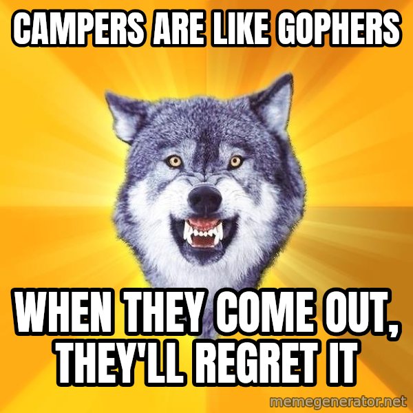 Courage Wolf meme: Campers are like gophers / when they come out, they'll regret it