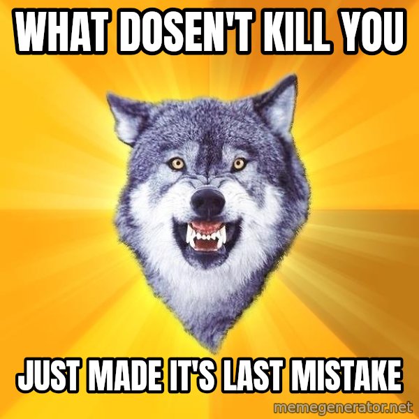 Courage Wolf meme: What dosen't kill you / just made it's last mistake
