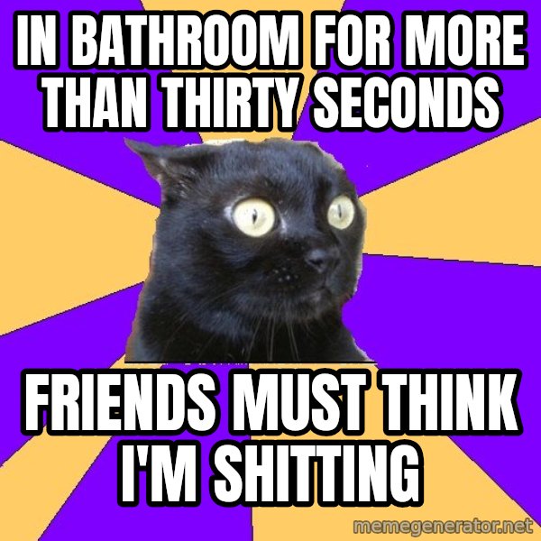 Anxiety Cat meme: in bathroom for more than thirty seconds / friends must think i'm shitting