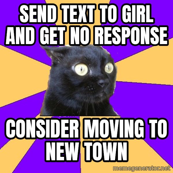 Anxiety Cat meme: Send text to girl and get no response / consider moving to new town