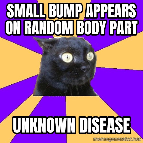 Anxiety Cat meme: small bump appears on random body part / unknown disease