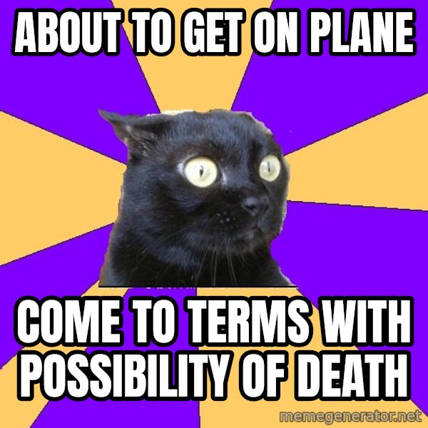 Anxiety Cat meme: about to get on plane / come to terms with possibility of death
