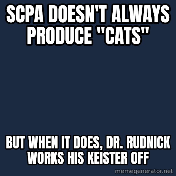 Dos Equis Man meme: SCPA DOESN'T ALWAYS PRODUCE "CATS" / bUT WHEN IT DOES, DR. RUDNICK WORKS HIS KEISTER OFF
