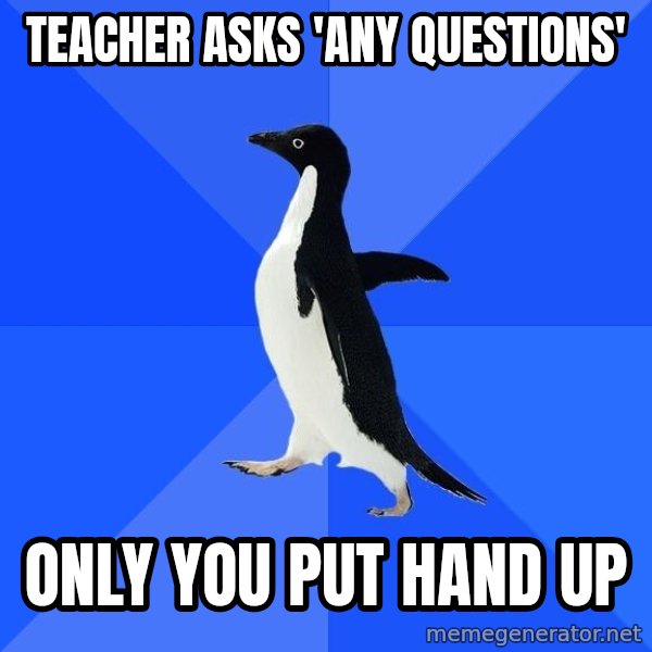 Socially Awkward Penguin meme: TEacher asks 'any questions' / only you put hand up
